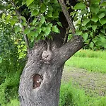 Дом отдыха Primorska Sunshine In Strandnaehe *