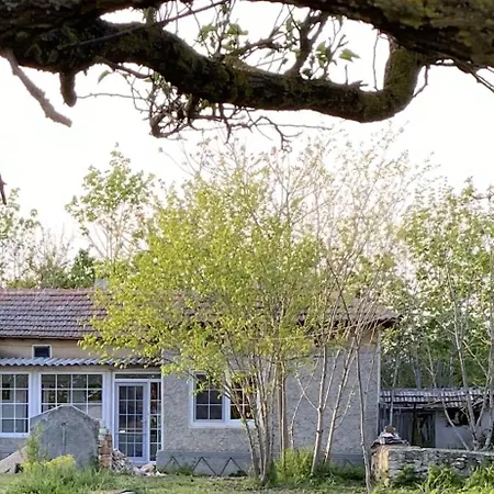 Vakantiehuis Primorska Sunshine In Strandnaehe